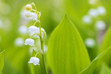 《心灵杀手2》无实体版计划 《美国噩梦》不会重制